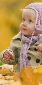 People,Autumn,Leaves,Children