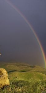 Arco Iris,Personas,Hombres