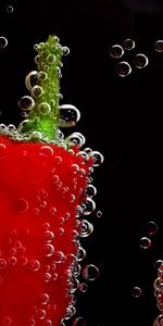 Pepper,Macro,Paprika,Close Up,Drops,Bubbles