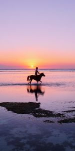 Cheval,Nature,Gili Trawangan,Giles Herangan,Silhouettes,Côte,Humain,Personne,Indonésie,Océan