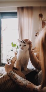 Pet,Animals,Friendship,Cat,Girl