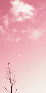 Pink,Clouds,Branch,Moon,Minimalism