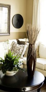 Plant,Miscellanea,Miscellaneous,Room,Furniture,Vase,Sofa,Living Room