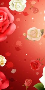 Plants,Flowers,Background,Roses