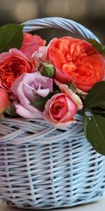 Fleurs,Bouquets,Plantes,Roses