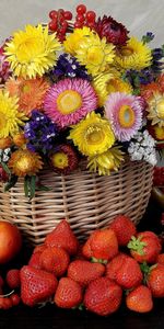 Plants,Flowers,Still Life