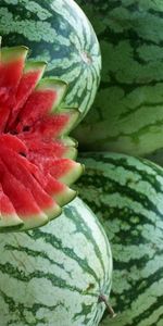 Plants,Food,Watermelons,Fruits