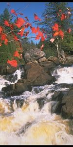 Plants,Landscape,Water,Stones,Waterfalls,Nature