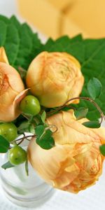 Plants,Roses,Bouquets