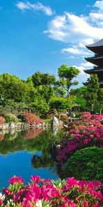 Cielo,Plantas,Asia,Flores,Ríos,Paisaje