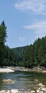 Plants,Trees,Sky,Rivers,Stones,Landscape