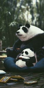 Pandas,Tocar,Jugar,Joysticks,Cartuchos,Jugador,Miscelánea,Misceláneo,Gamer