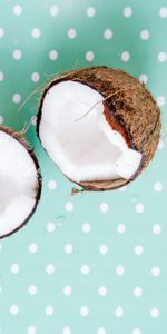 Points,Point,Nut,Exotic,Coconut,Food,Pattern