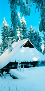 Poland,Lodge,Snow,Small House,Winter,Nature,Forest