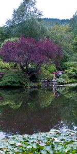 Pond,Butchart Victoria,Buchart Victoria,Nature,Park,Garden,Canada