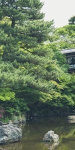 Pond,Nature,Lake,Structure,Japan