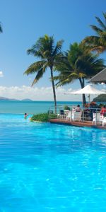 Mer,Mare,Nature,Piscine,Palms,Tropiques