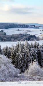 Poppenhausen,Nature,Snow,Forest,Germany