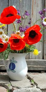 Poppies,Dandelions,Bouquet,Jug,Field,Flowers,Camomile