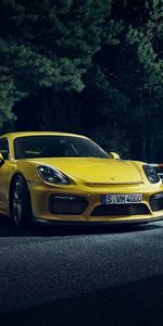 Porsche Cayman,Тачки (Cars),Желтый,Спорткар