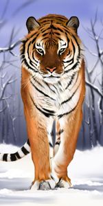 Depredador,Gato Grande,Nieve,Tigre,Arte