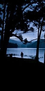 Privacy,Trees,Seclusion,Person,Lake,Human,Silhouette,Loneliness,Dark