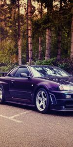 Nissan,Horizonte,Nismo,S Tune,Coches,Gt R,R34