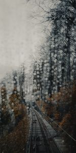 Rails,Forest,Fog,Nature,Glare,Railway