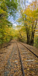 Naturaleza,Otoño,Ferrocarril,Rieles,Carriles,Árboles