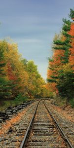 Railway,Trees,Autumn,Road,Nature,Forest