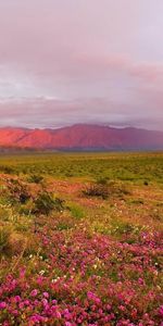 Paisaje,Arco Iris,Los Campos