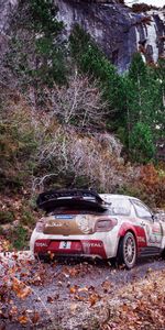 Citroen,Otoño,Coches,Ds3,Rally