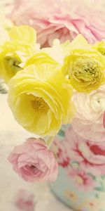 Ranunkulus,Renoncule,Tendresse,Vase,Fleurs