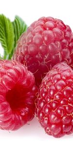 Raspberry,Berries,Food