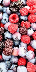 Raspberry,Berries,Food,Bilberries,Fruits