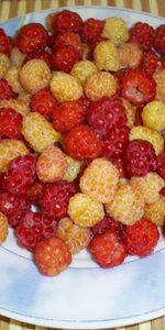 Raspberry,Berries,Fruits,Food