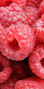 Raspberry,Berries,Fruits,Food,Background