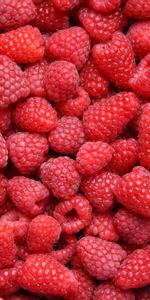 Raspberry,Berries,Fruits,Food,Background