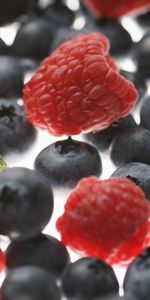 Raspberry,Berries,Fruits,Food,Bilberries,Background