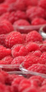 Raspberry,Berries,Ripe,Bowls,Food