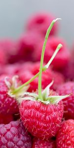 Raspberry,Berries,Ripe,Juicy,Food,Close Up