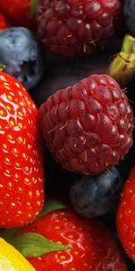 Framboise,Fruits,Nourriture,Ronce,Fraise