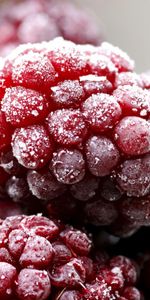 Raspberry,Fruits,Food