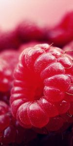 Raspberry,Macro,Berry,Ripe,Close Up