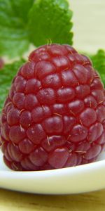 Raspberry,Macro,Berry,Ripe,Juicy,Close Up