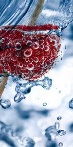 Raspberry,Macro,Close Up,Toothpick,Bubbles