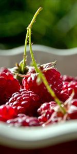 Plaque,Framboise,Assiette,Ombre,Baies,Nourriture