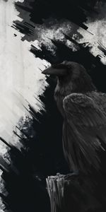 Raven,Lines,Bird,Art