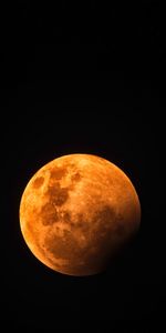 Red Moon,Full Moon,Satellite,Universe,Moon