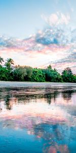 Reflection,Coast,Nature,Sea,Palms,Beach